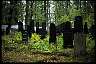 Jdischer Friedhof in Hluboka (Sdbhmen), 2000_93-312.jpg