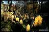 Jdischer Friedhof in Prag, 2155.jpg