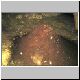 Fledermaus - Exkremente in der Skocjanske - Höhle