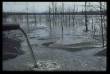 Nordmähren 1994: Absetzteich der Zeche Dukla in Orlova bei Karvina