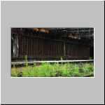 Kokerei Hansa Dortmund