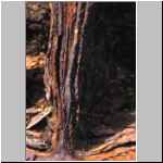 Kokerei Hansa Dortmund