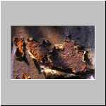 Kokerei Hansa Dortmund