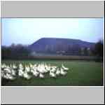 Ruhrgebiet-Ost: Halde Gneisenau Dotrmund