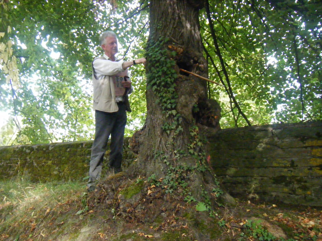 2009 soest baumspaziergang