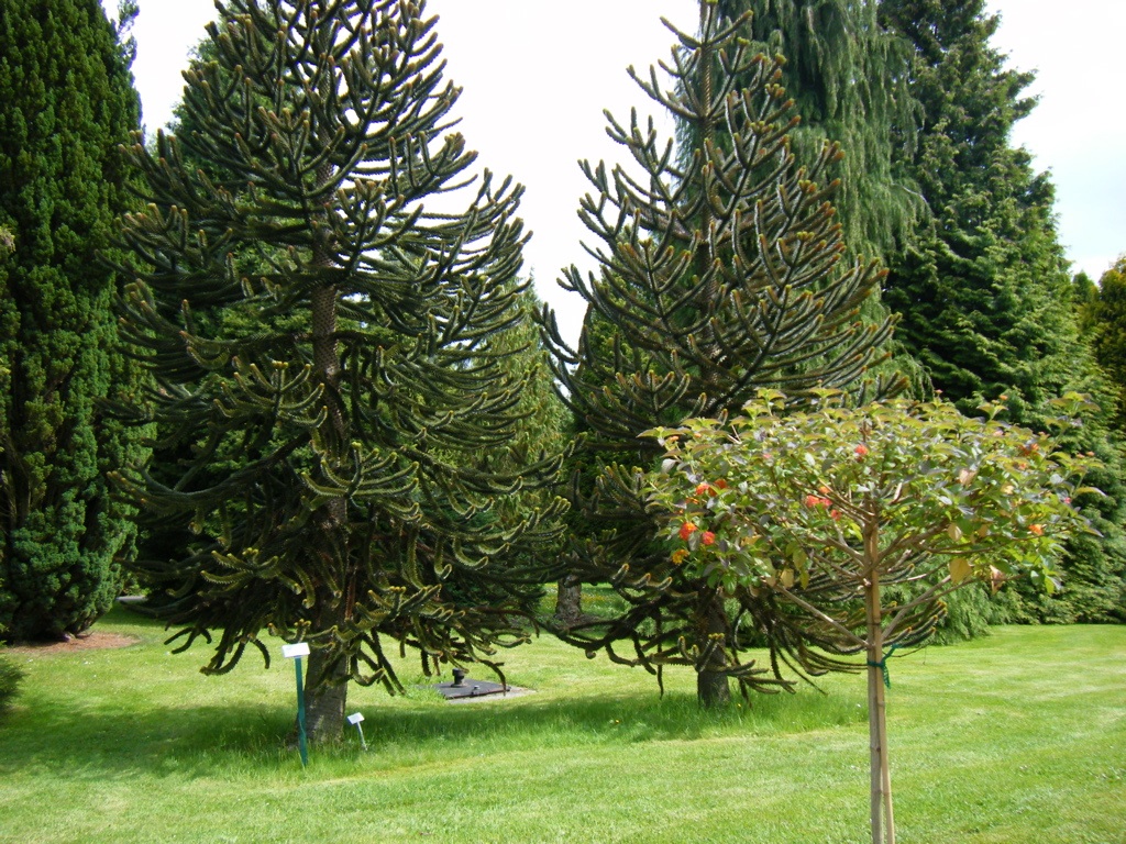 2010_marburg_arboretum