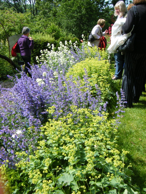 2011_arnsberg_stauden