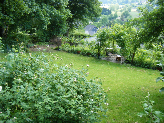 2011_arnsberg_weinlaube