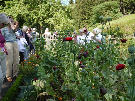 2011 forsthaus garten