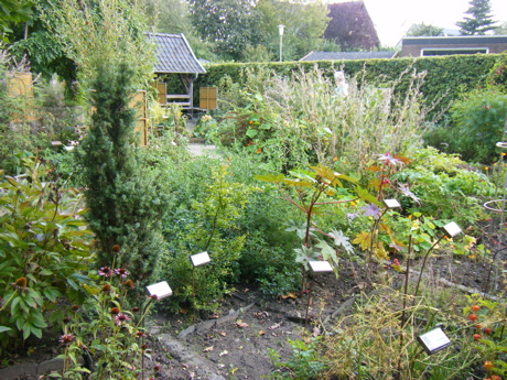 2011 weseke apothekergarten