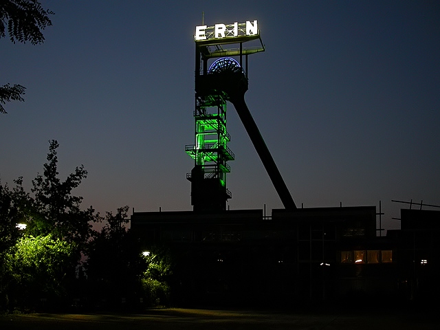 Erin