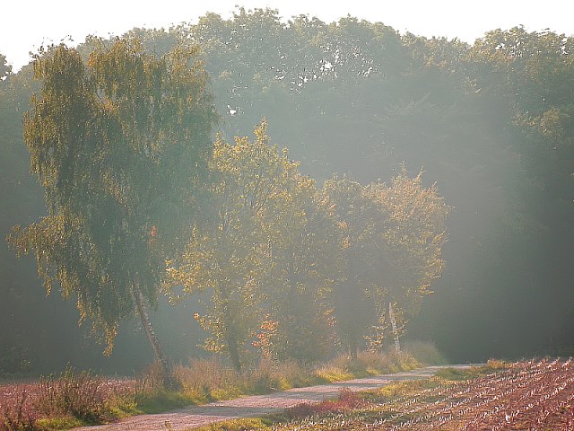 An der Lippe (1)