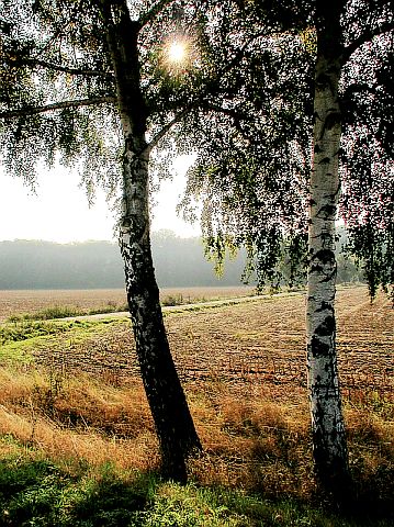 An der Lippe (2)