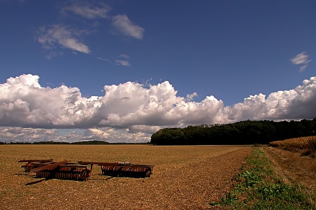Am Bauernhof (1)