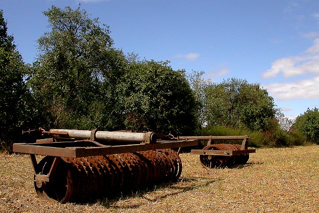 Am Bauernhof (2)