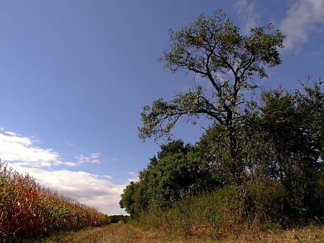 Am Bauernhof (3)