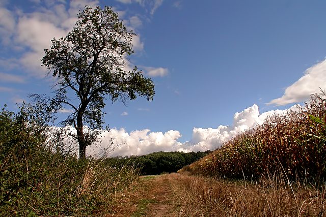 Am Bauernhof (4)