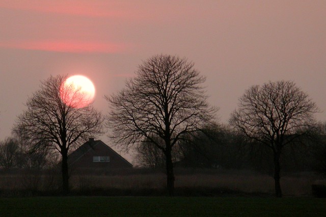 An der Halde