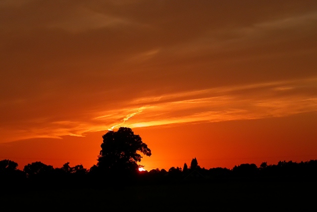 Auf einem Feld