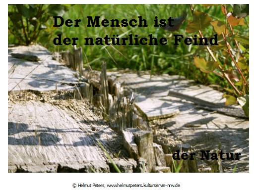 Helmut Peters. Autor. Herten. Recklinghausen