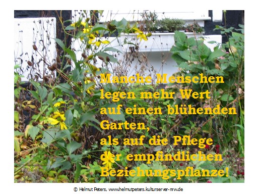 Helmut Peters. Autor. Herten. Recklinghausen