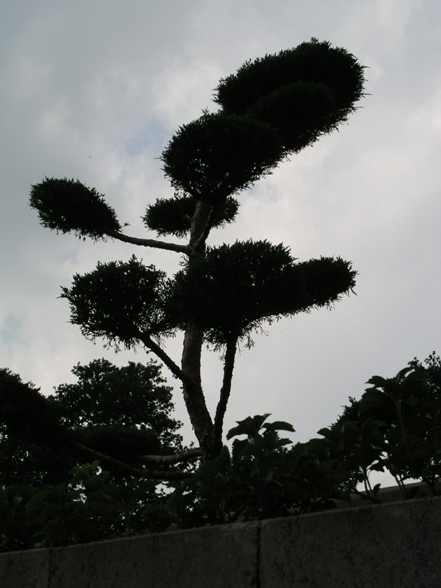 Garten-01