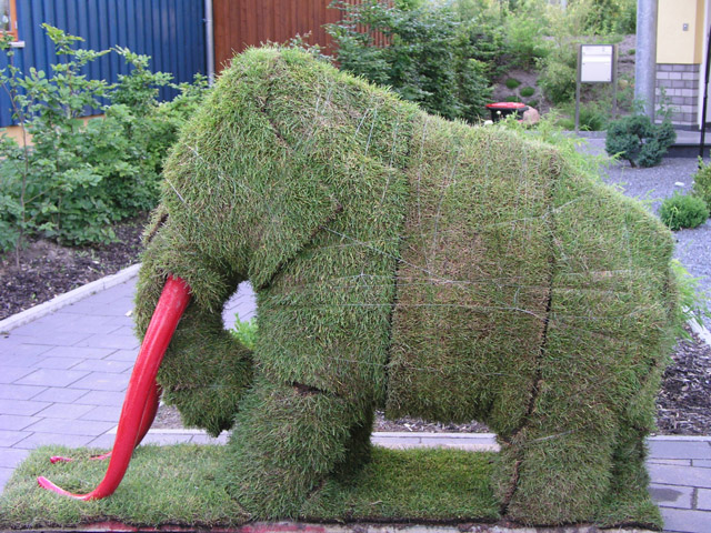 Mammut_11