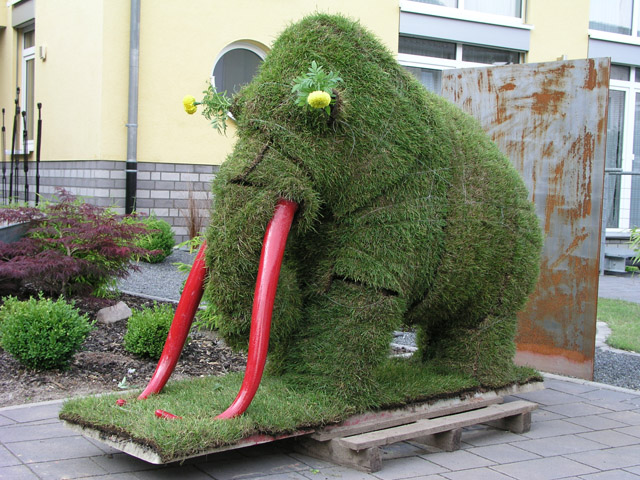 Mammut_12