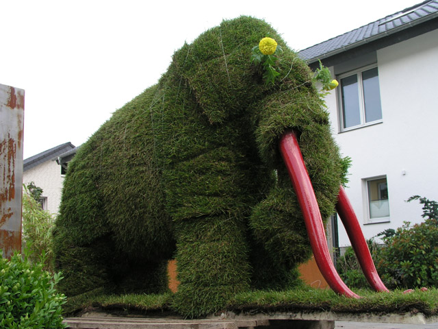 Mammut_13