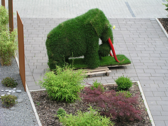 Mammut_16
