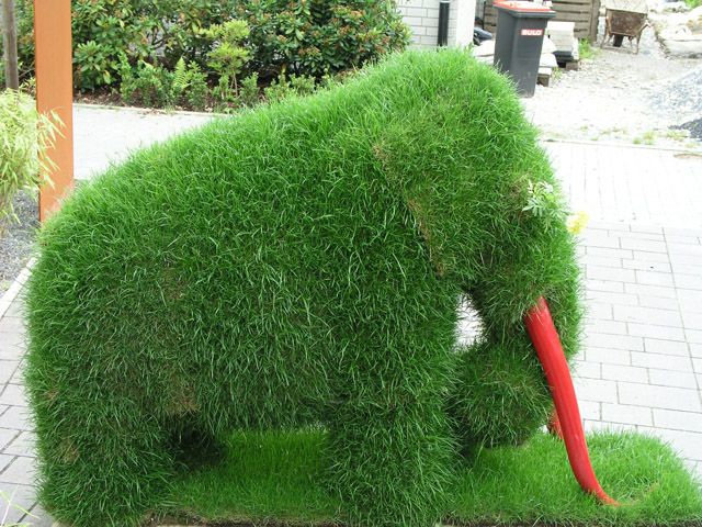 Mammut_17