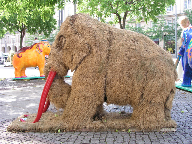 Mammut_23