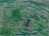 1978-79__Ohne_Titel_5