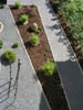 Garten-02