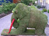 Mammut_14