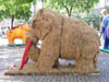 Mammut_23