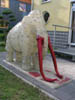 Mammut__6