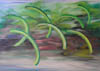 Strandhuetten_in_Negril