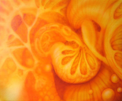 orange 1_edited