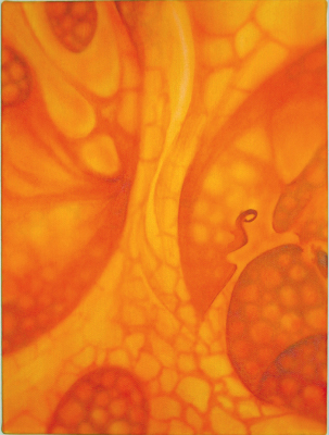 orange 5_edited