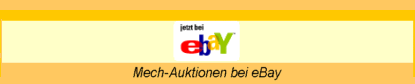 eBay-Auktionen