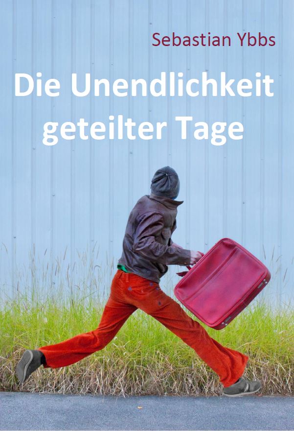Buch Cover: Die Unendlichkeit geteilter Tage