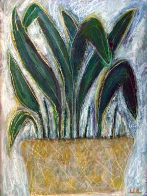 Schildblume - 2005 © Ulrich Leive