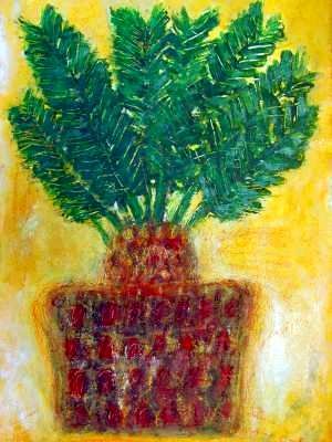 Sagopalme - 2005 © Ulrich Leive