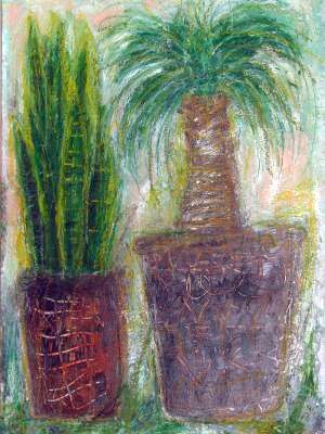 Drachenbaum und Sanseverie - 2005 © Ulrich Leive