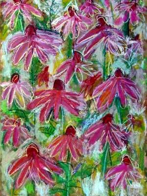 Echinacea - 2005 © Ulrich Leive